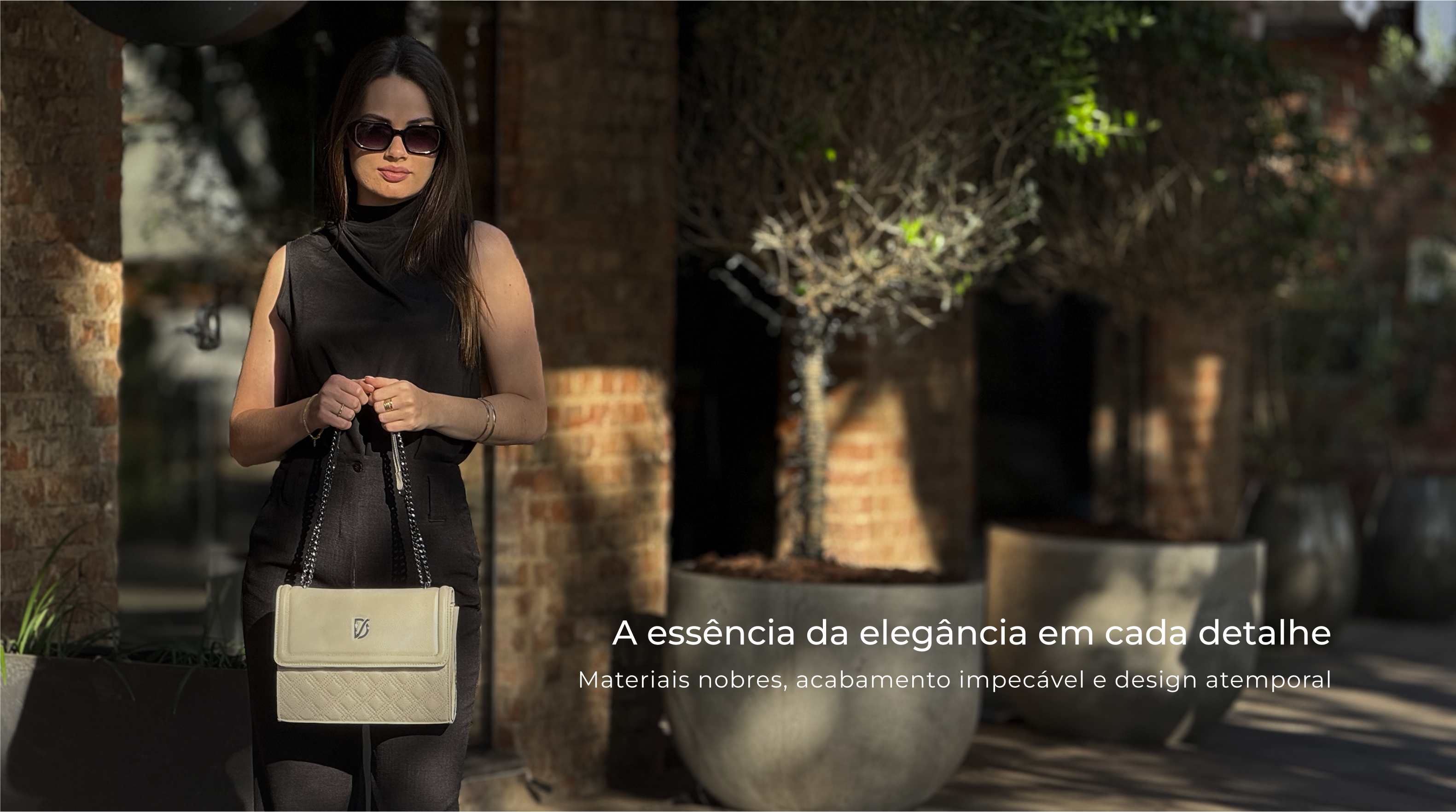 Banner Aura